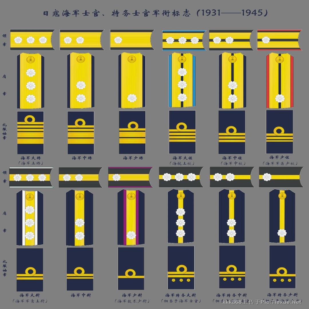 海军军衔等级排名图片图片