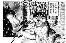 银牙传说 快懂百科