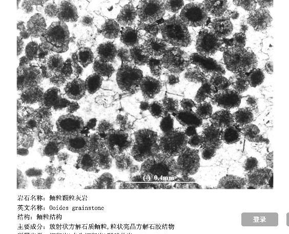 雨花石鱼籽石 雨花石中的特异类品种 头条百科