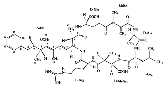 砂海葵毒素分子结构