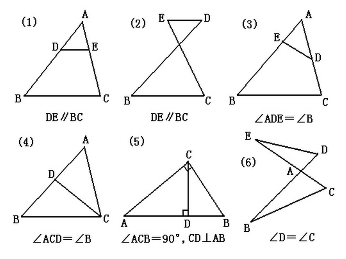 怎么算直角三角形斜边呢（如何算直角三角形斜边呢）