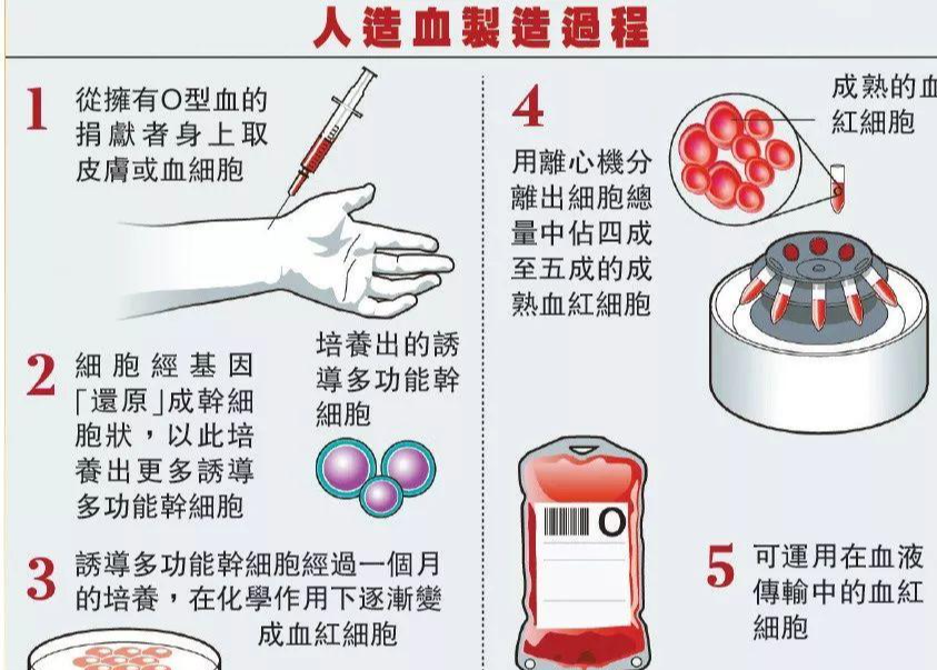 人造血 快懂百科